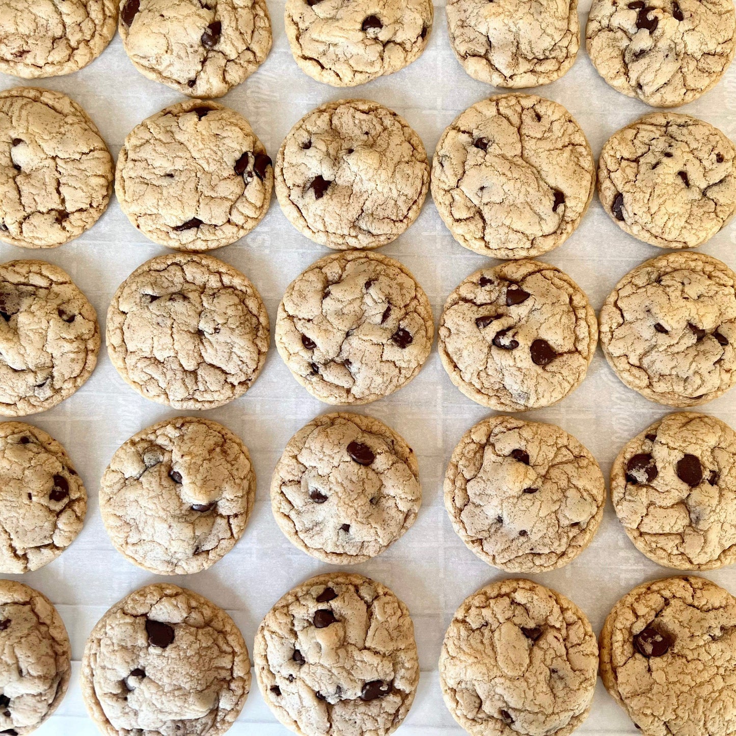 Chocolate Chip